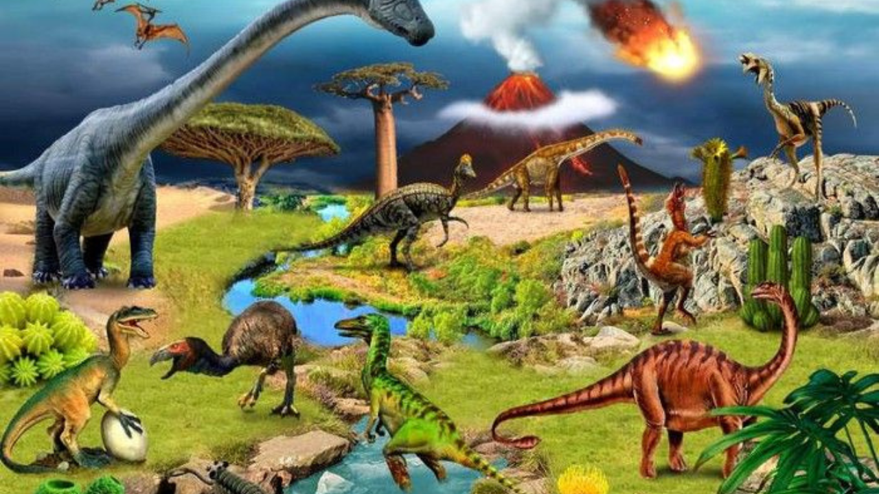 Puzzle Game 2